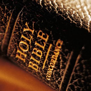 Elder Brandon Hartfield